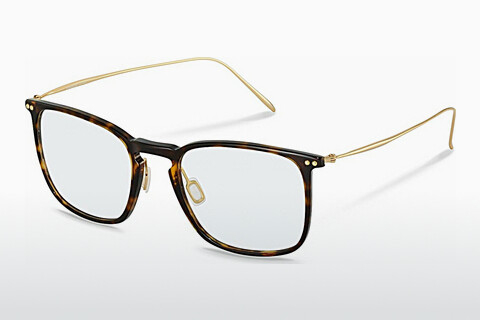 Okulary korekcyjne Rodenstock R7137 B000