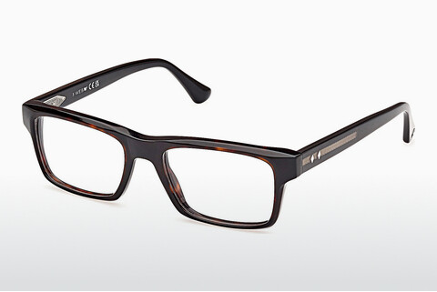 Okulary korekcyjne Web Eyewear WE5432 056