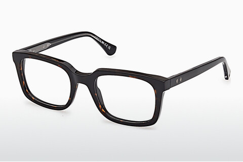 Okulary korekcyjne Web Eyewear WE5445 056