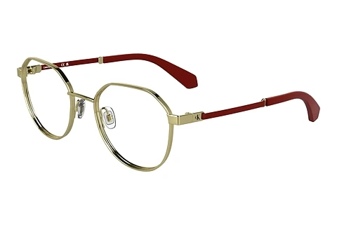 Okulary korekcyjne Calvin Klein CKJ25304 717