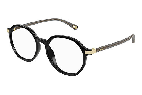 Okulary korekcyjne Chloé CH0249OA 001