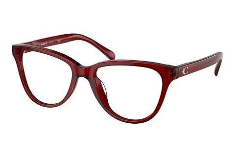 Okulary korekcyjne Coach HC6202U 5713