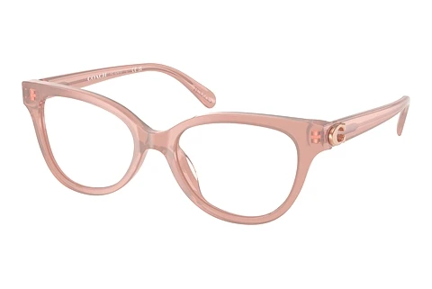 Okulary korekcyjne Coach HC6247U 5839