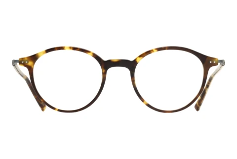 Okulary korekcyjne MASUNAGA GMS831 43