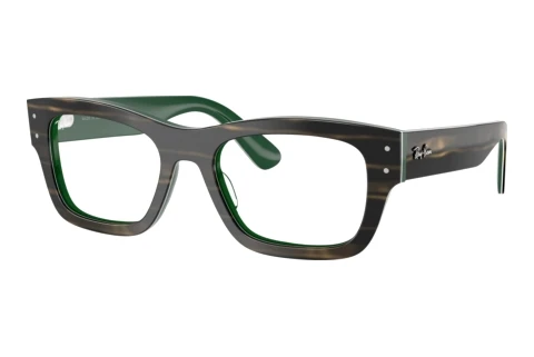 Okulary korekcyjne Ray-Ban JOSEPH (RX7683V 8392)