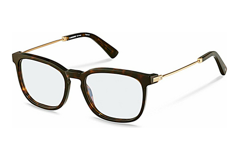 Okulary korekcyjne Rodenstock R8029 B000