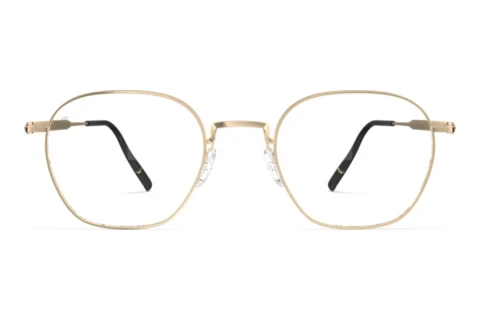 Okulary korekcyjne Silhouette Pure Visionary (5592 7631)
