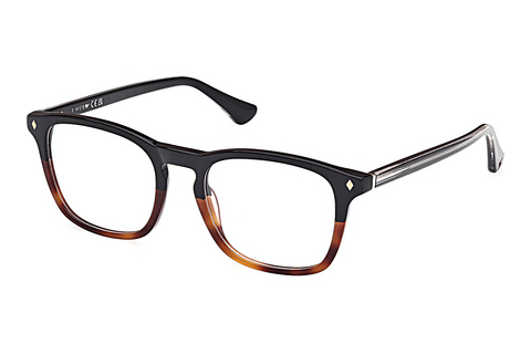 Okulary korekcyjne Web Eyewear WE5386 056