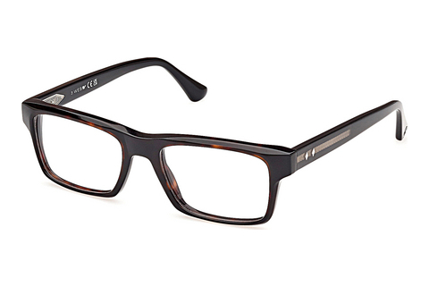 Okulary korekcyjne Web Eyewear WE5432 056