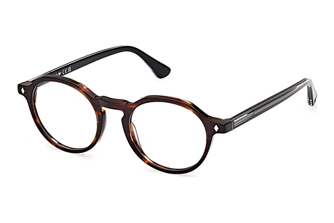 Okulary korekcyjne Web Eyewear WE5440 052