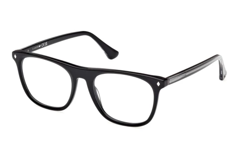 Okulary korekcyjne Web Eyewear WE5462 005