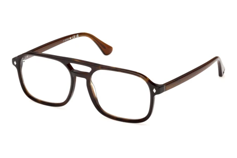 Okulary korekcyjne Web Eyewear WE5473 052