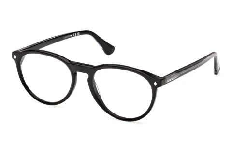 Okulary korekcyjne Web Eyewear WE5474 005