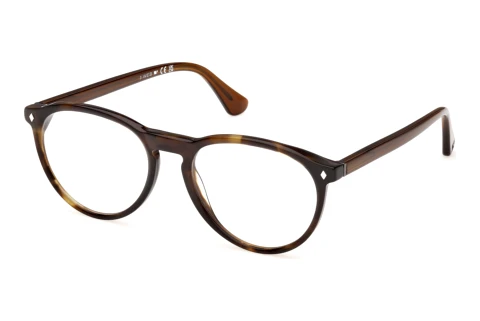 Okulary korekcyjne Web Eyewear WE5474 056