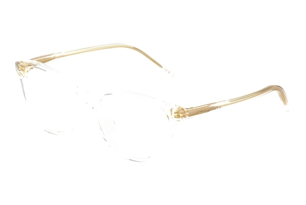 Okulary korekcyjne Dolce & Gabbana DX3002 3133