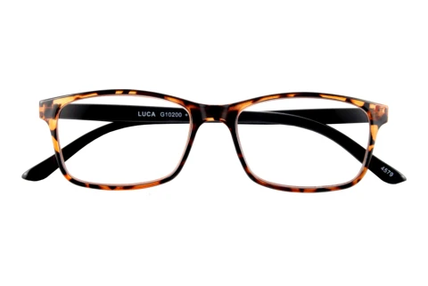  I NEED YOU LUCA G10200 braun-havanna D3.00