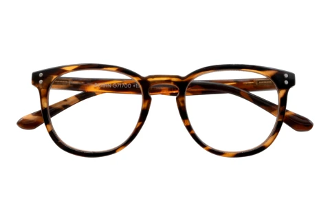  I NEED YOU ROBIN havanna D2.00