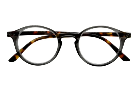  I NEED YOU SASHA G73900 grau havanna D1.50