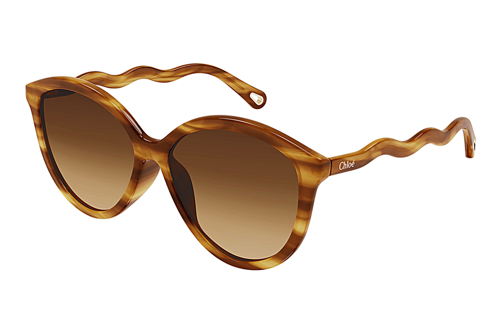 Chloé   CH0087S 002 HAVANA