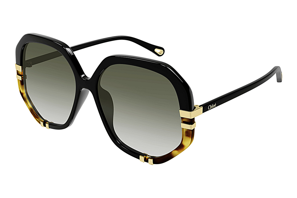 Chloé   CH0105S 002 BLACK