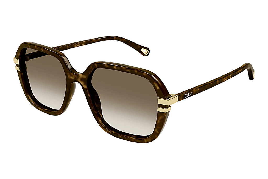 Chloé   CH0204S 002 HAVANA