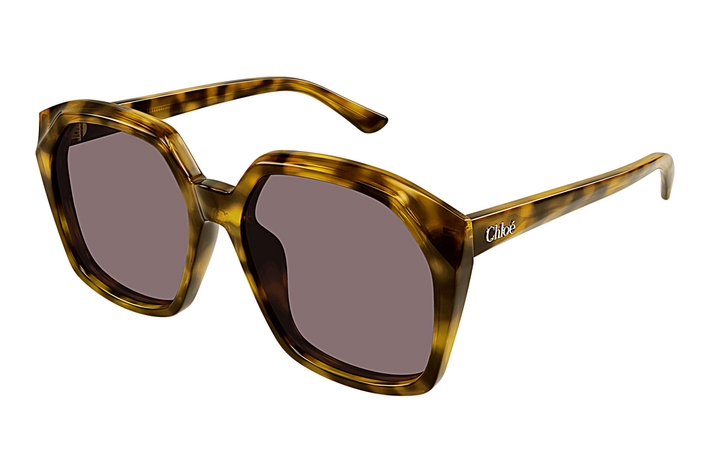 Chloé   CH0280S 004 HAVANA