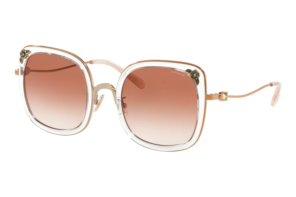 Coach   HC7101B 933113 Pink GradientRose Gold/Transparent Pink