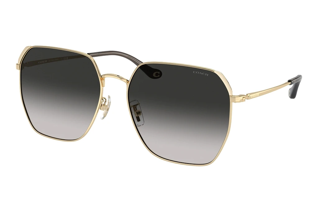 Coach   HC7165D 90053C Grey GradientShiny Light Gold