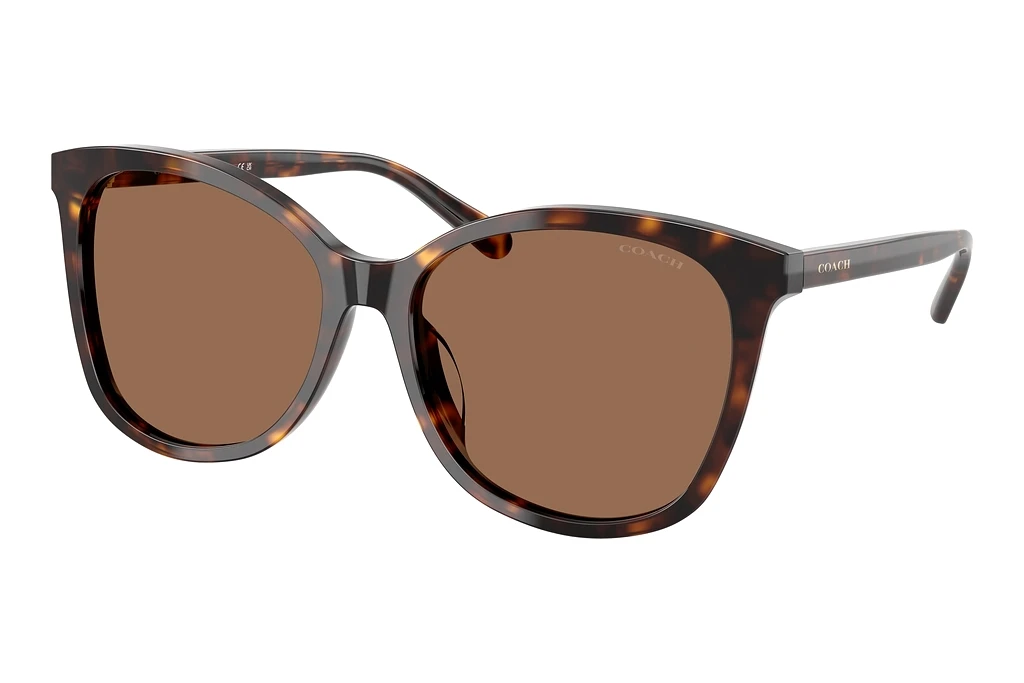 Coach   HC8271U 512073 Dark BrownDark Tortoise