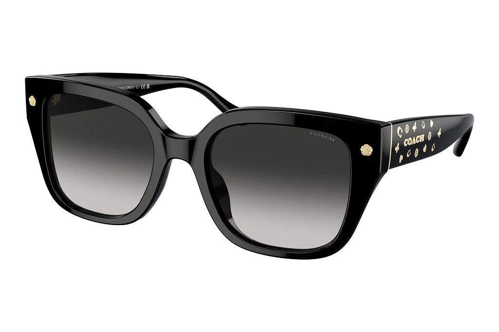 Coach   HC8392U 50023C Grey GradientBlack