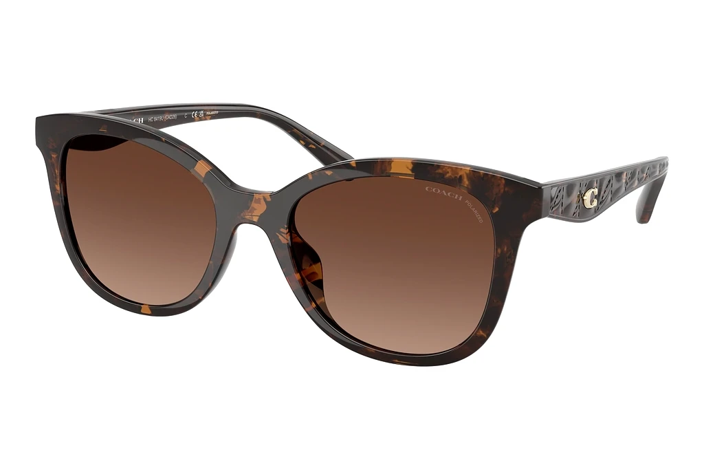 Coach   HC8419U 5120T5 Brown Gradient PolarDark Tortoise