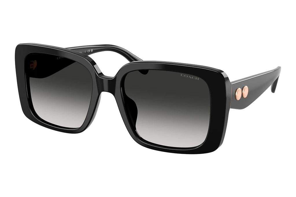 Coach   HC8424U 50023C Grey GradientBlack