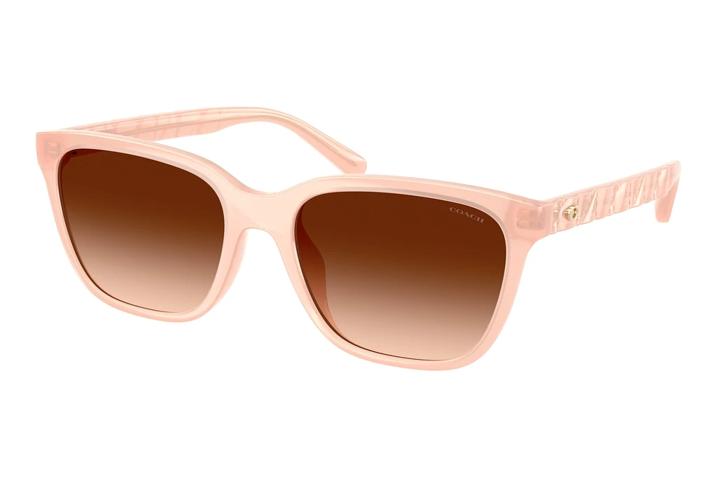 Coach   HC8429D 511374 Brown GradientMilky Light Pink