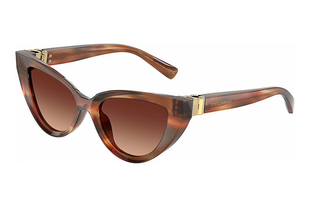 Dolce & Gabbana   DG4497 322113 Gradient BrownStriped Brown