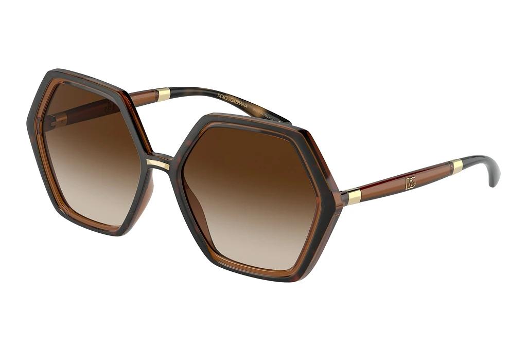 Dolce & Gabbana   DG6167 318513 Gradient BrownHavana/Transparent Brown