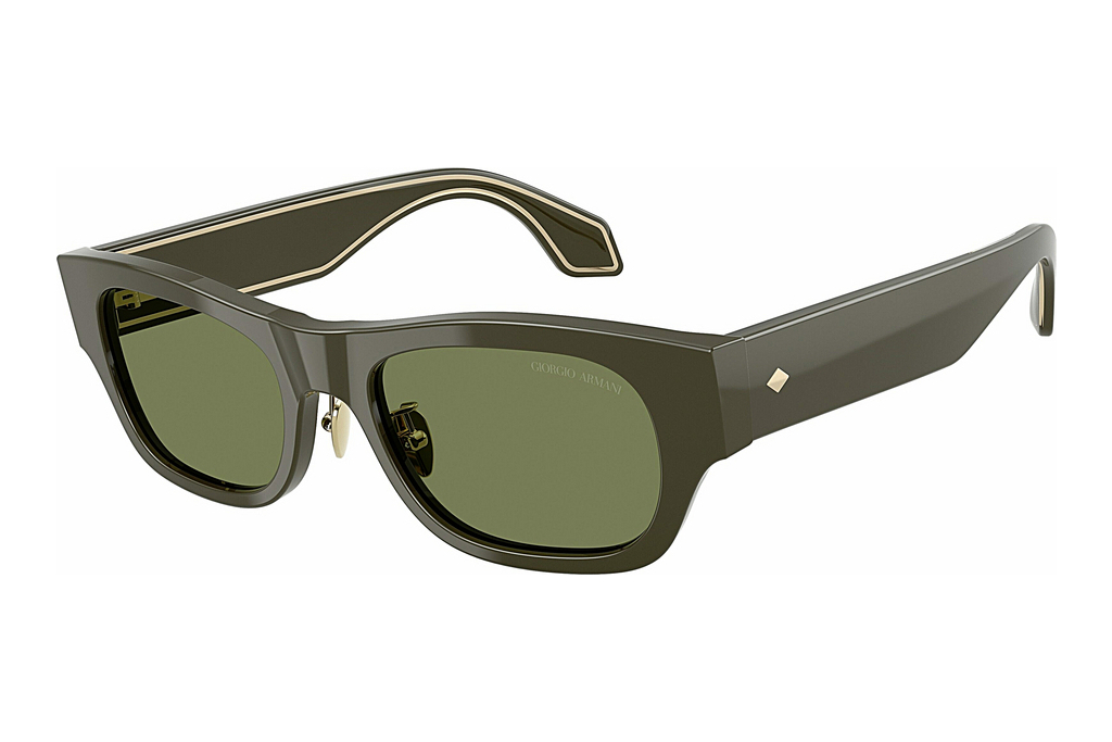 Giorgio Armani   AR8224 61582A GreenGreen Icon