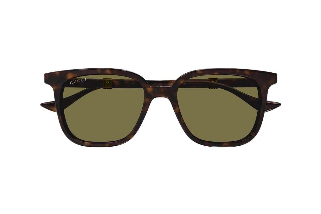 Widok z przodu Gucci GG1493S (002)