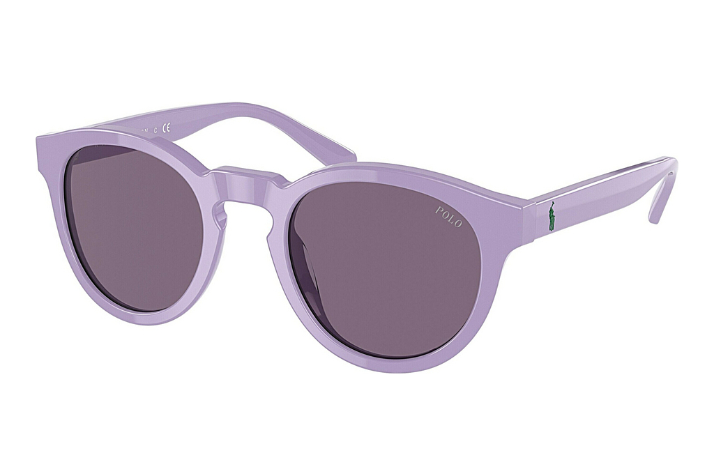 Polo   PH4184 60181A VioletShiny Sky Lavander