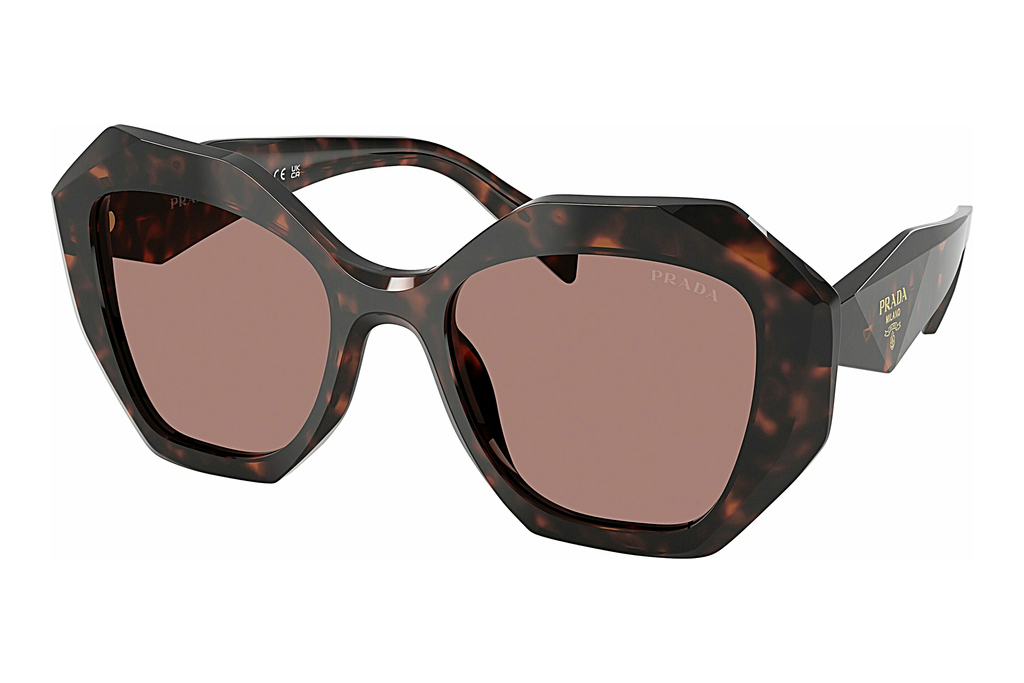 Prada   PR 16WS 17N60B Light BrownRoot Tortoise