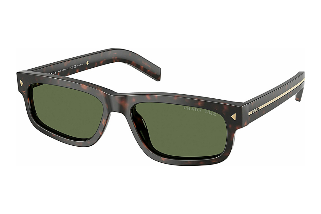 Prada   PR B11S 17N20G Polar GreenRoot Tortoise