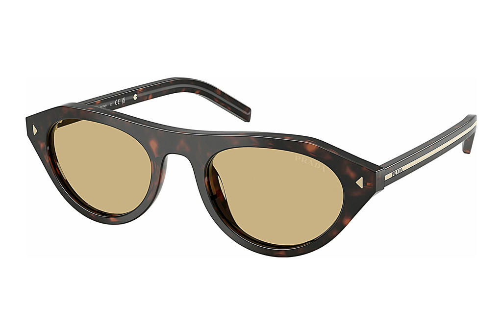 Prada   PR B15S 17N70R Light BrownRoot Tortoise