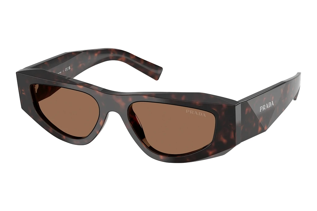 Prada   PR B19S 17N06B Dark BrownRoot Tortoise