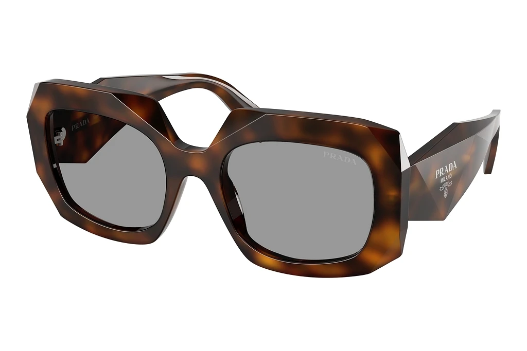 Prada   PR B23S 20D50Q GreyJuniper Tortoise