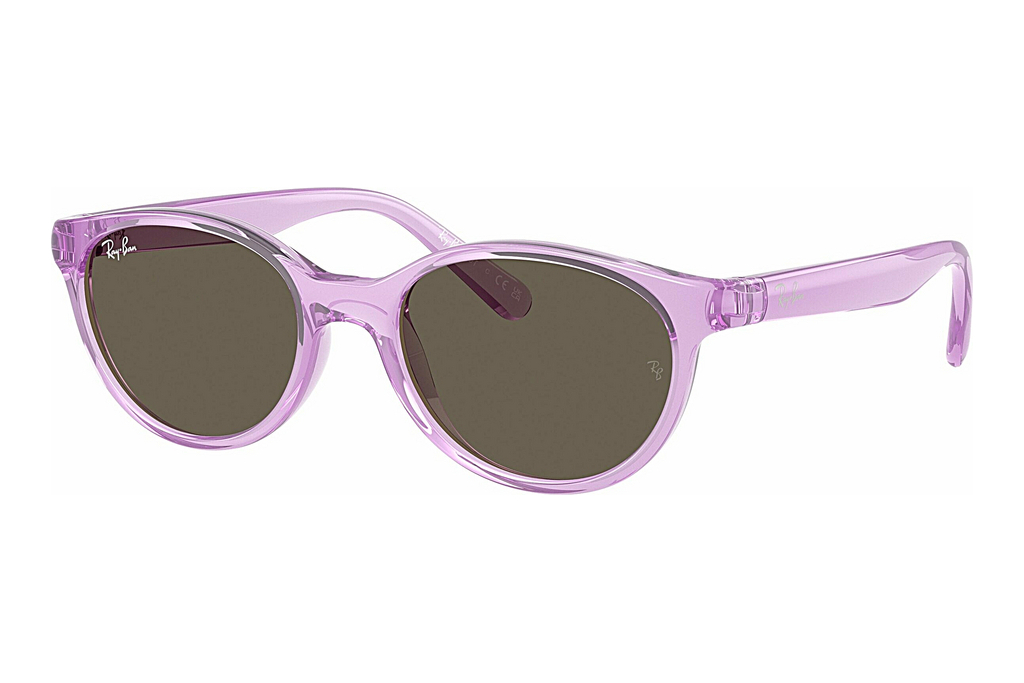 Ray-Ban Kids   RJ9080S 7172/3 BrownTransparent Violet