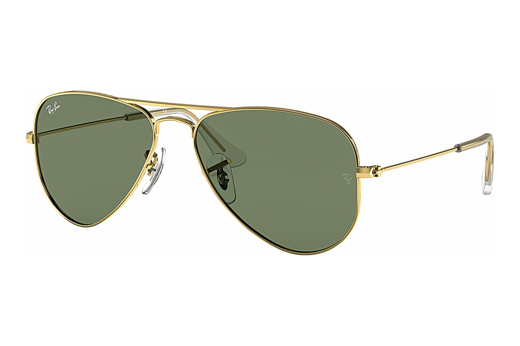 Ray-Ban Kids   RJ9506S 223/71 Dark GreenArista Gold