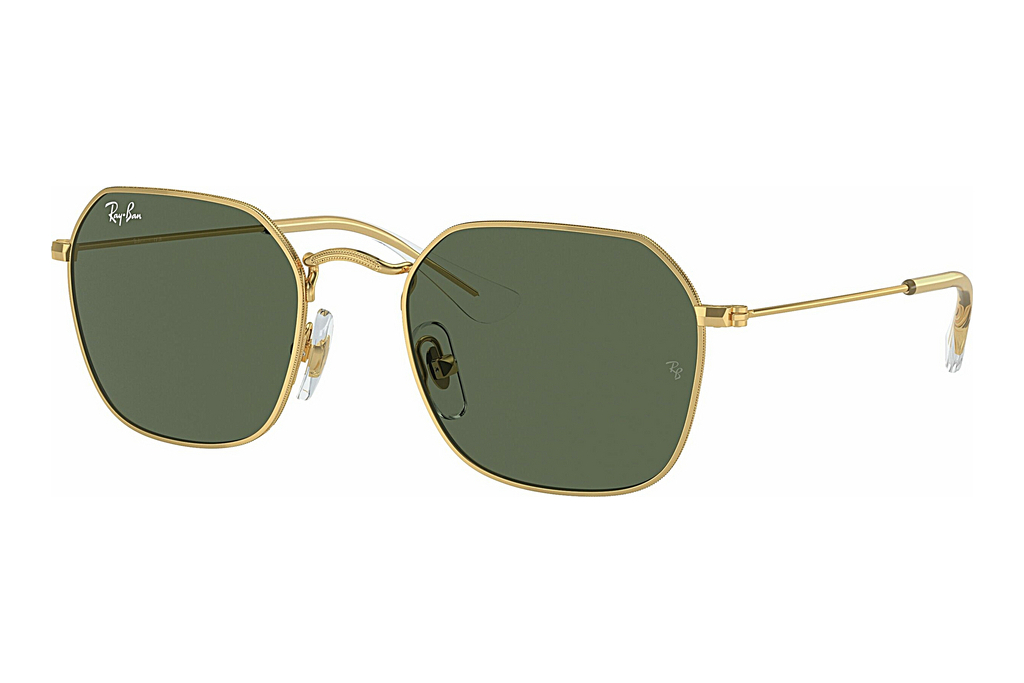 Ray-Ban Kids   RJ9594S 223/71 Dark GreenArista Gold