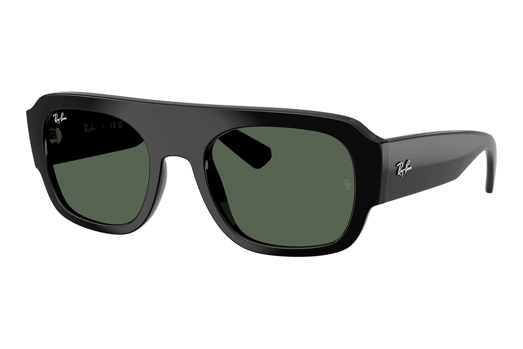 Ray-Ban   RB2218 667771 Dark GreenBlack