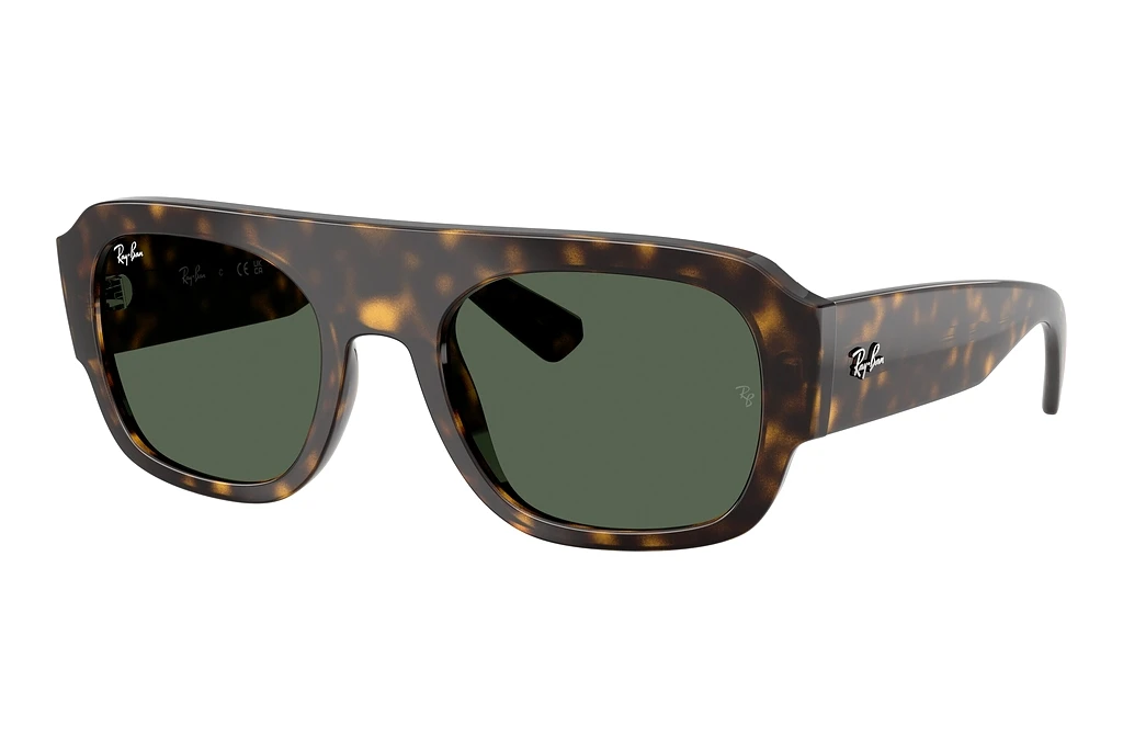 Ray-Ban   RB2218 679071 GreenHavana