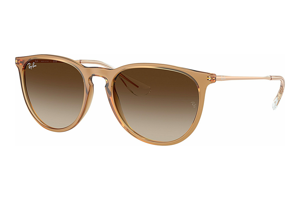 Ray-Ban   RB4171 681413 Gradient BrownRubber Beige