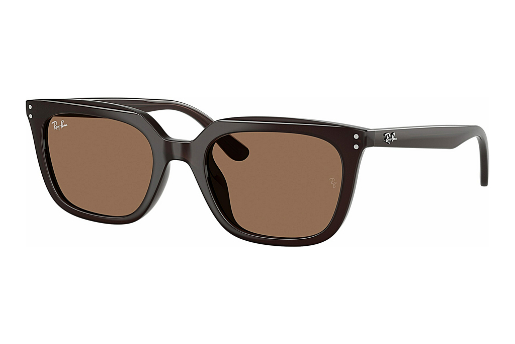 Ray-Ban   RB4439D 623173 Dark BrownOpal Brown